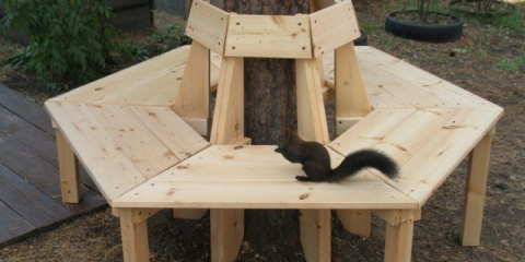 Jak vyrobit lavičku kolem stromu vlastníma rukama